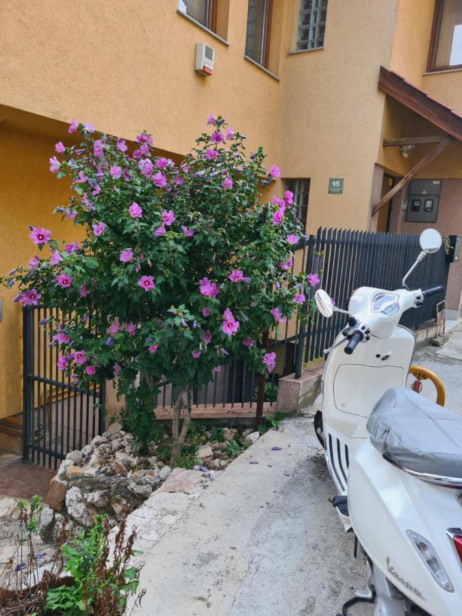 סראייבו Apartman Yellow House מראה חיצוני תמונה